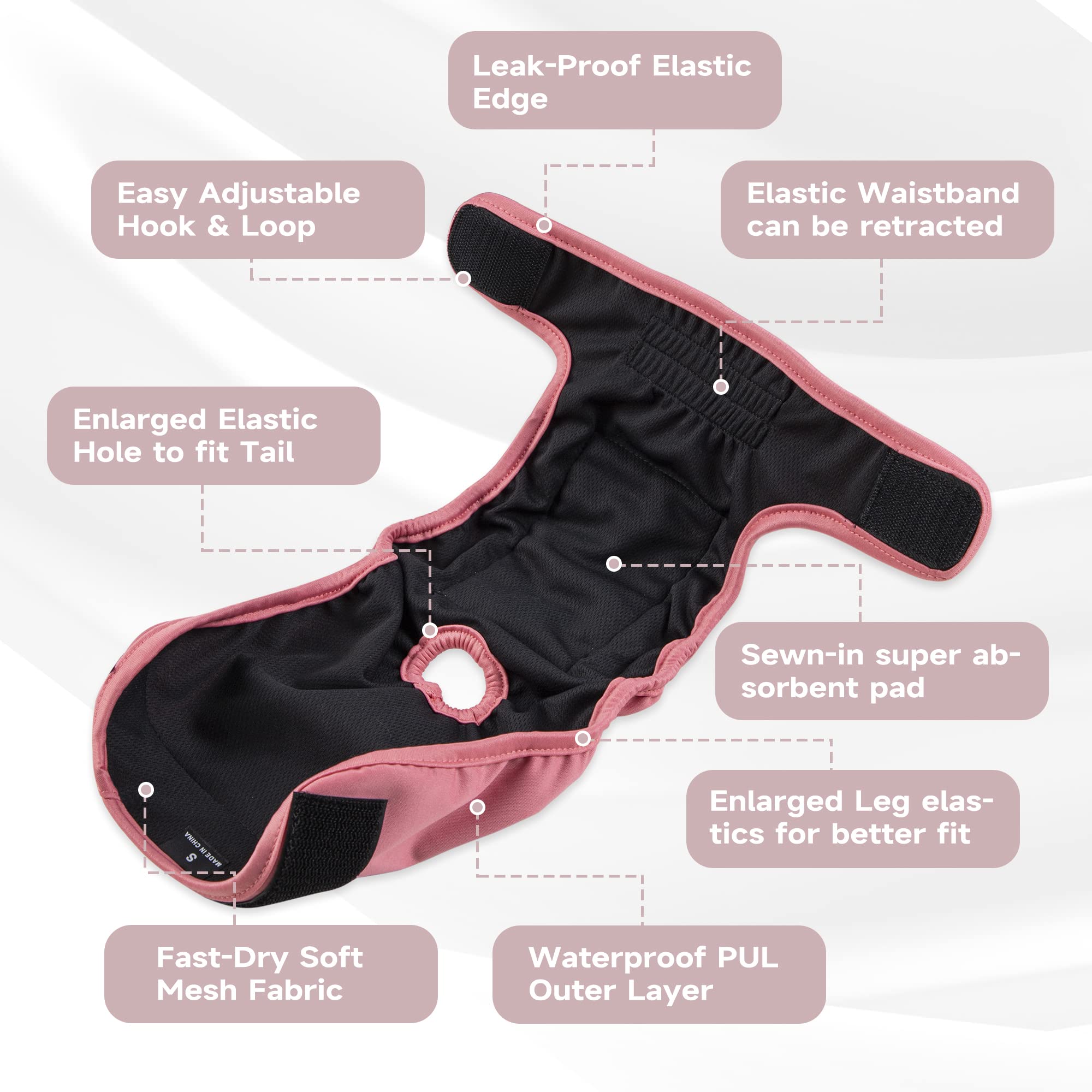 Paw Legend size chart image focusing on measuring for proper small size fit.