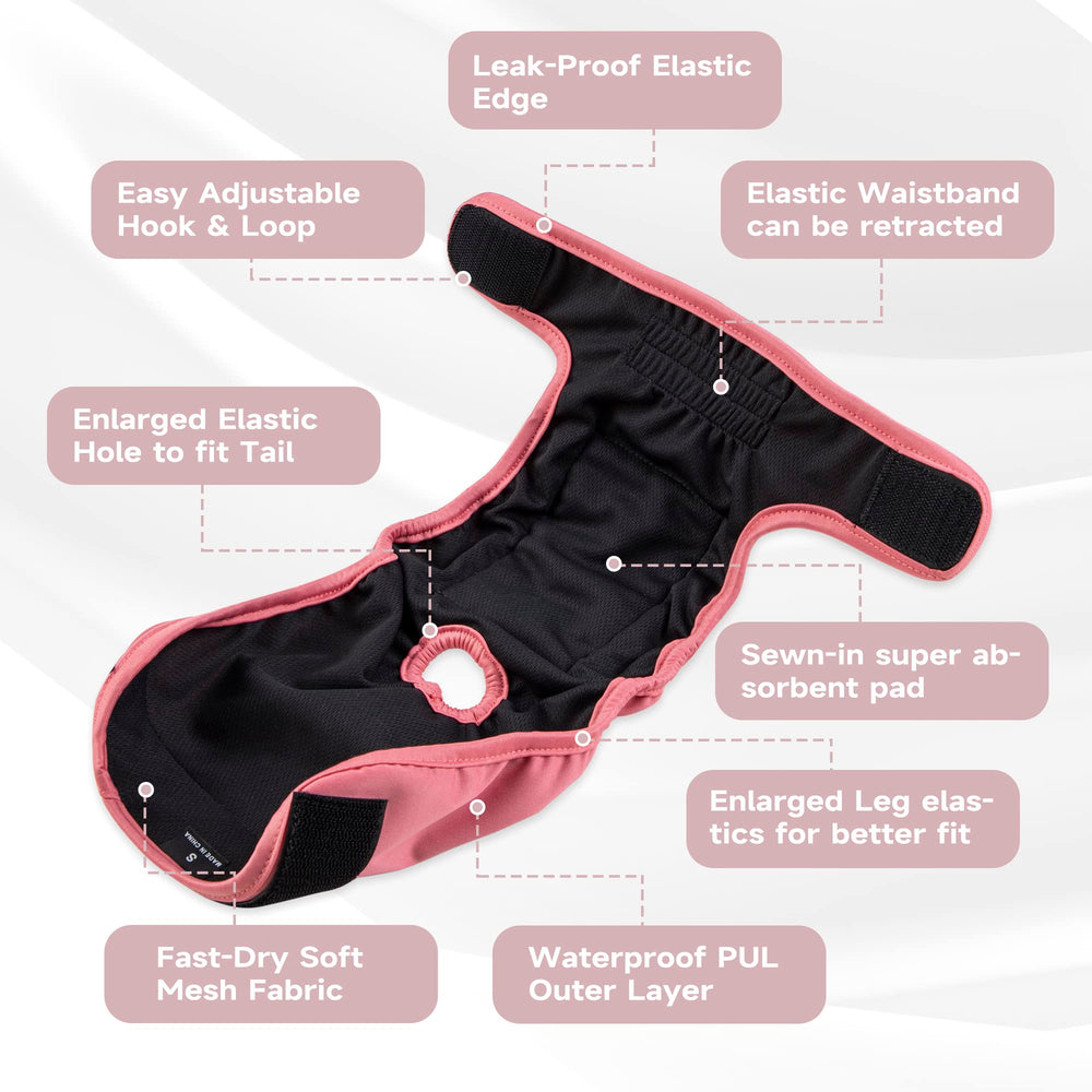Paw Legend size chart image focusing on measuring for proper small size fit.