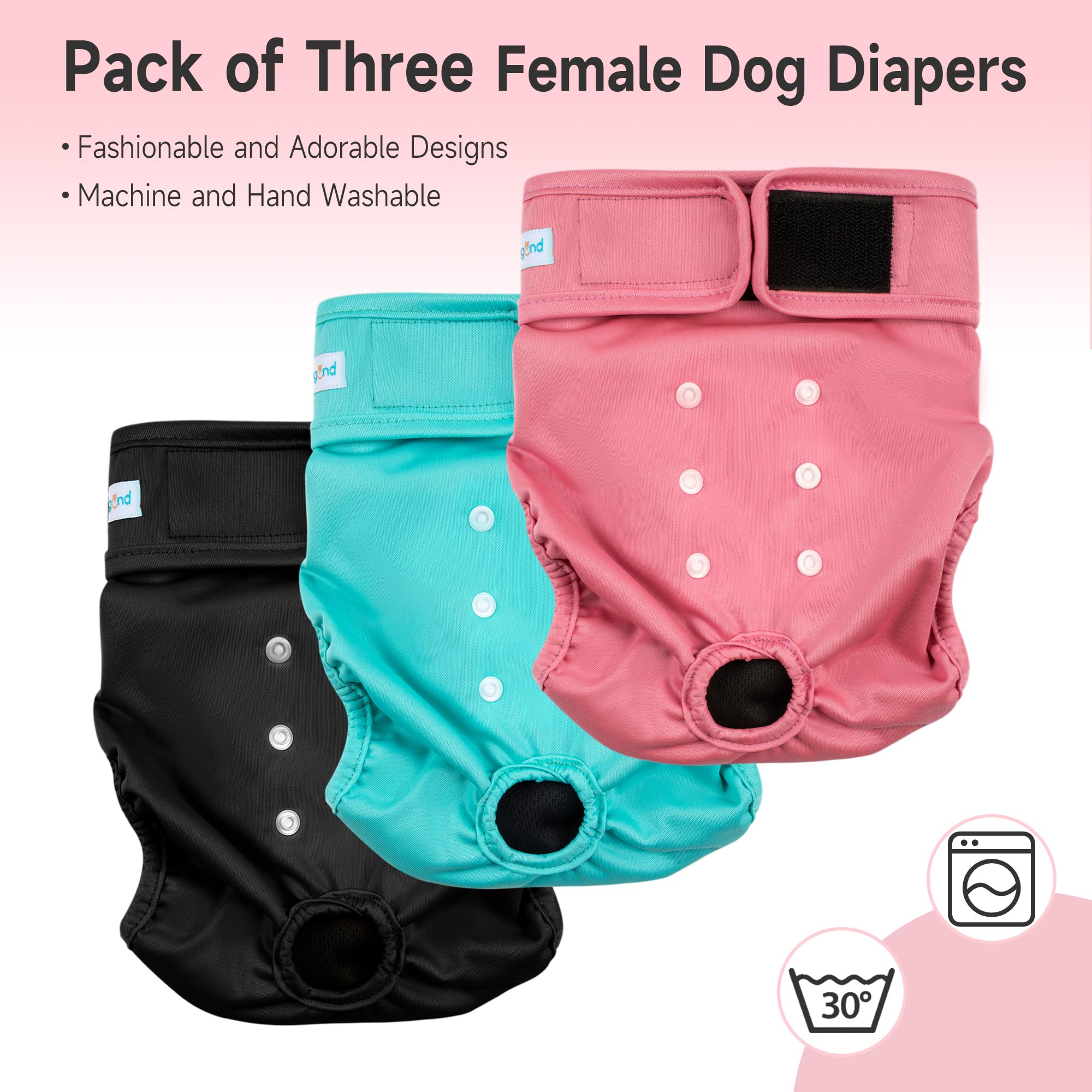Paw Legend pack back snaps image highlighting adjustable sizing for a snug, customizable fit.
