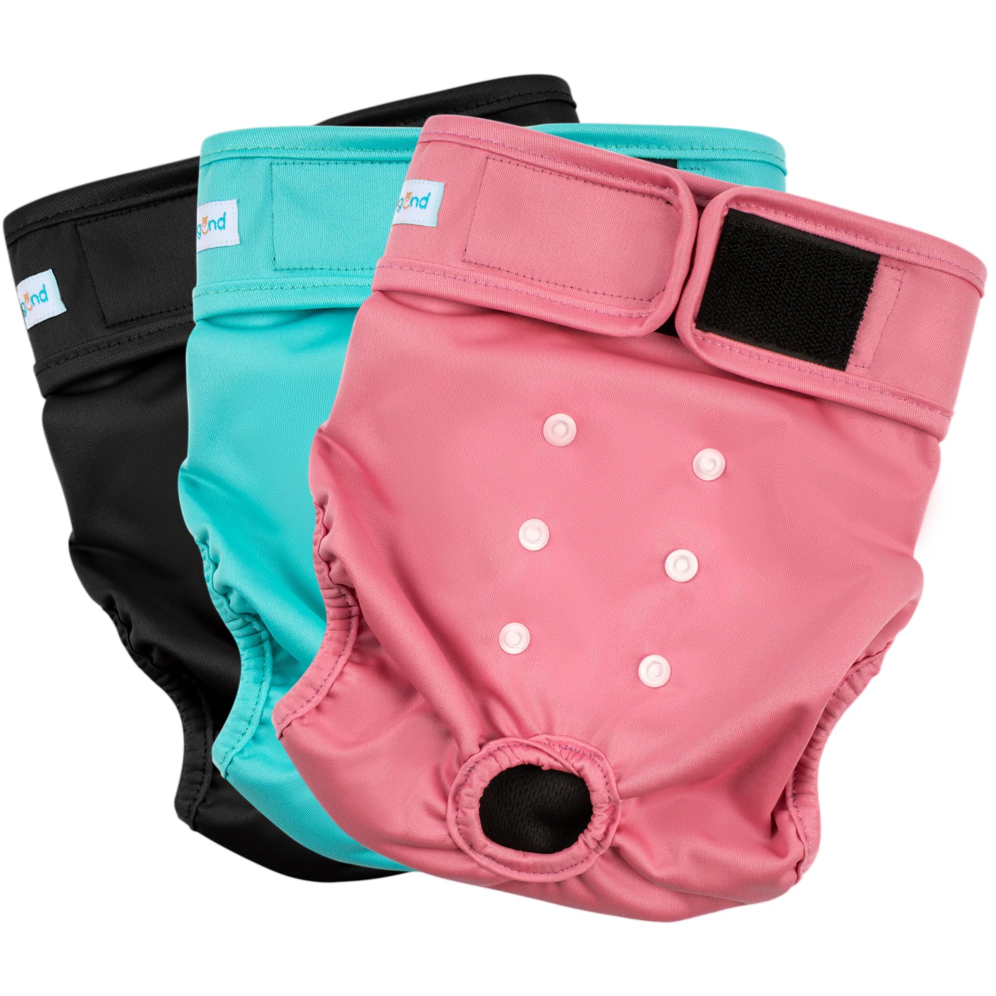 Paw Legend washable dog diapers pack front view showing secure fit for heat cycles.