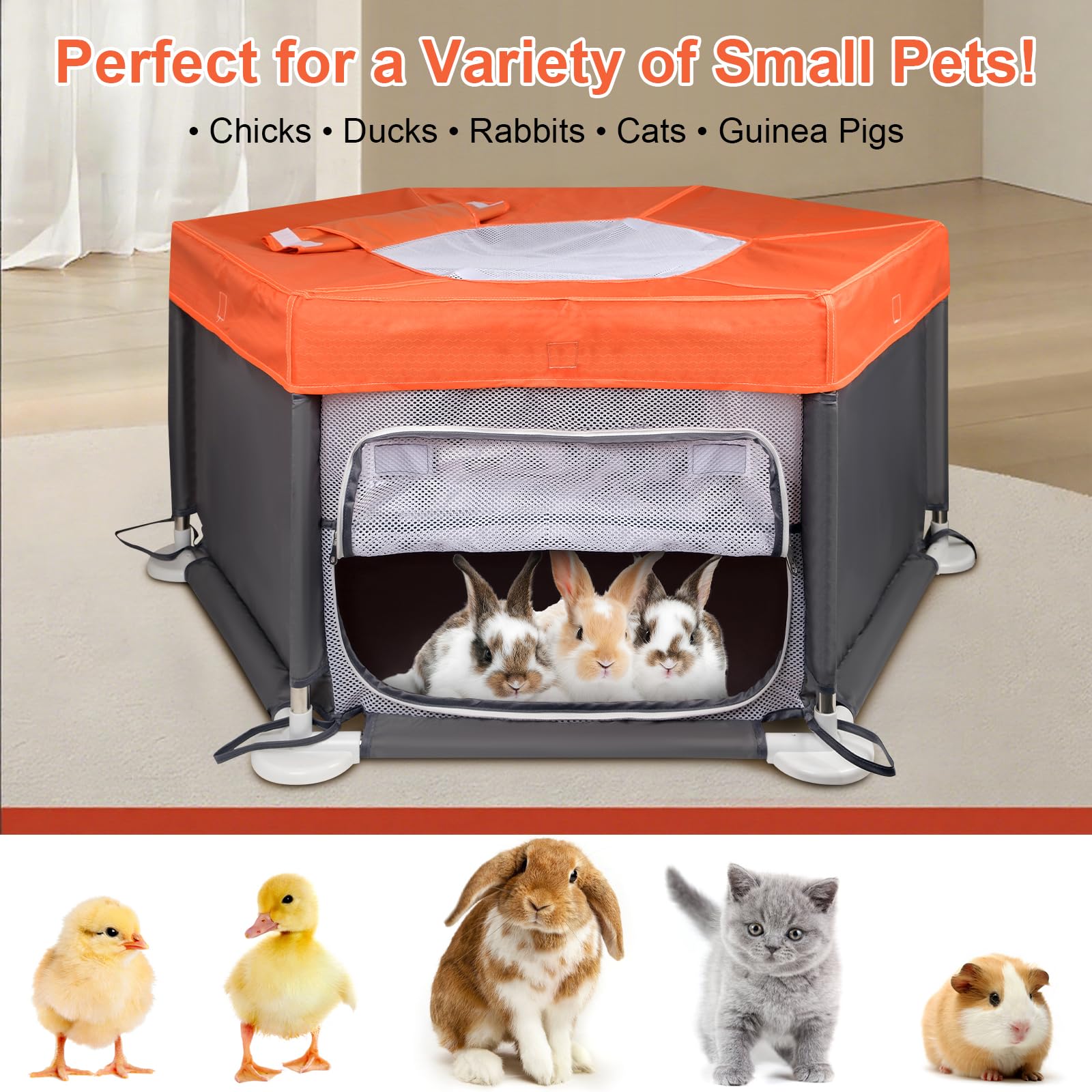 Paw Libero detachable design enables flexible setup for multiple small pets.