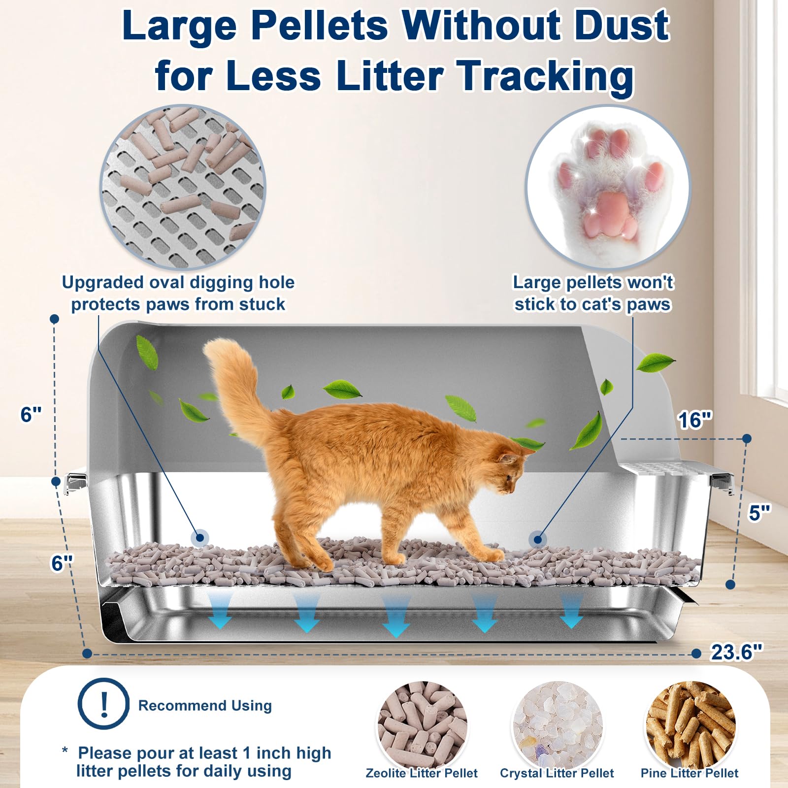 Paw Libero large-cat friendly design with twelve-inch walls for space and privacy.