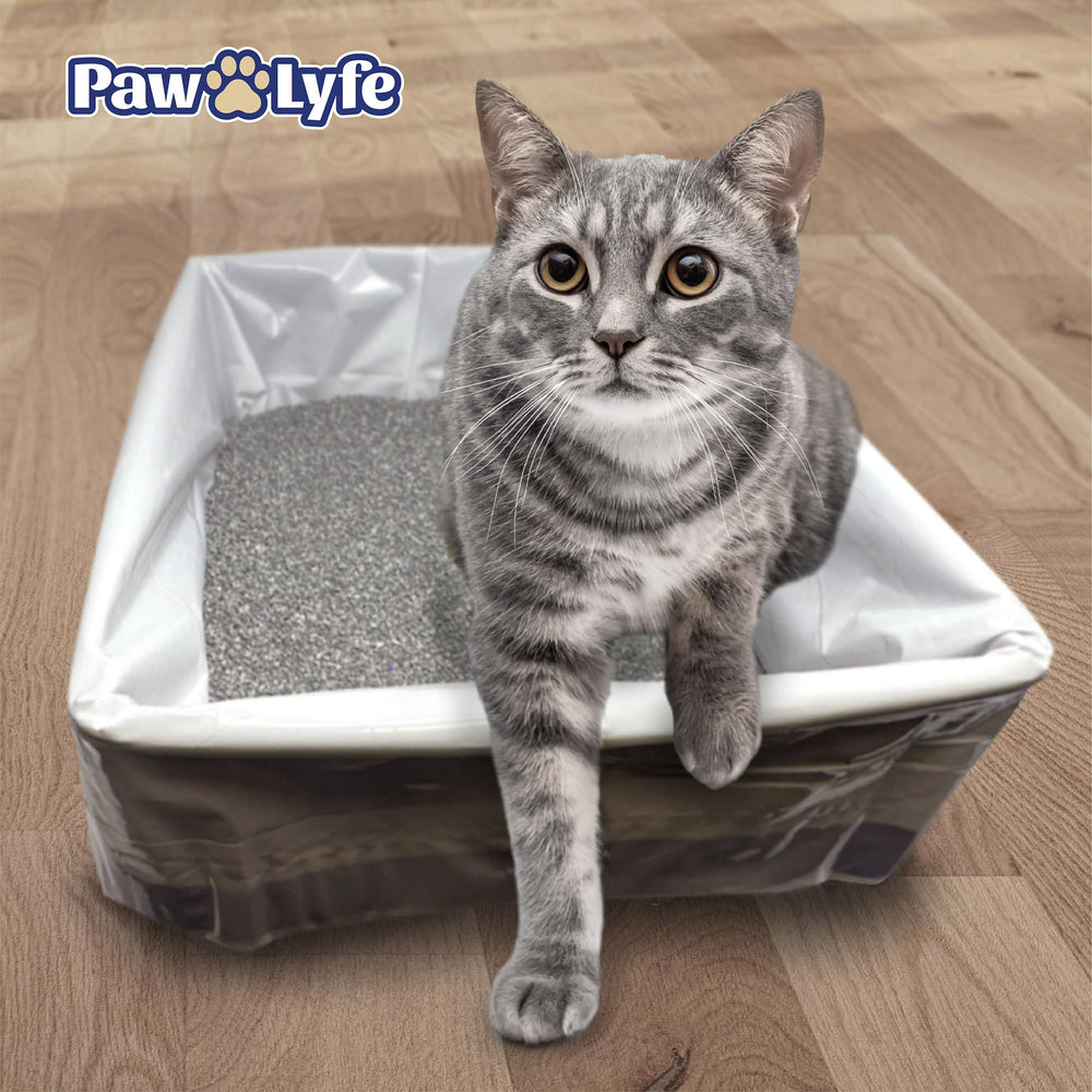 PawLyfe secure fit and disposal-ready liners simplify cleanup