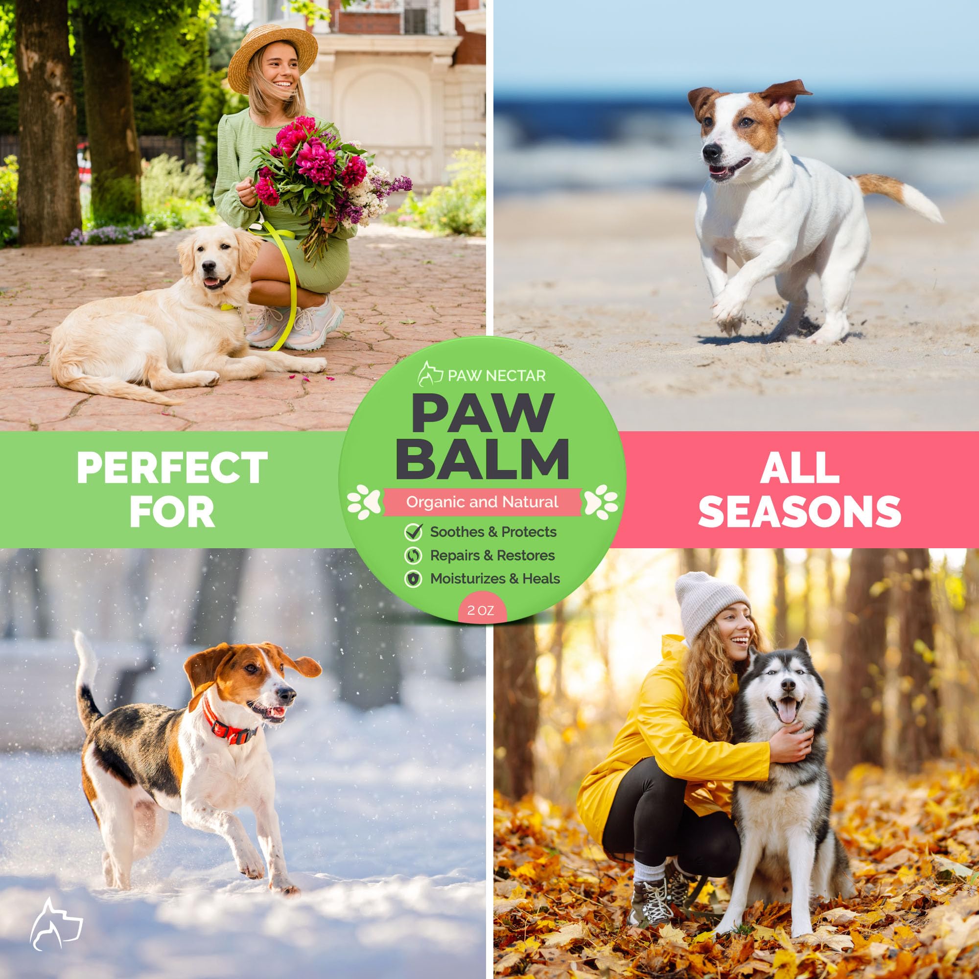 Aceite de coco y cuidados naturales en Paw Nectar para patas sanas