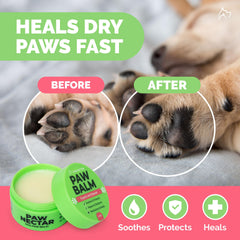 Aplicación en patitas con Paw Nectar para alivio suave y protección diaria