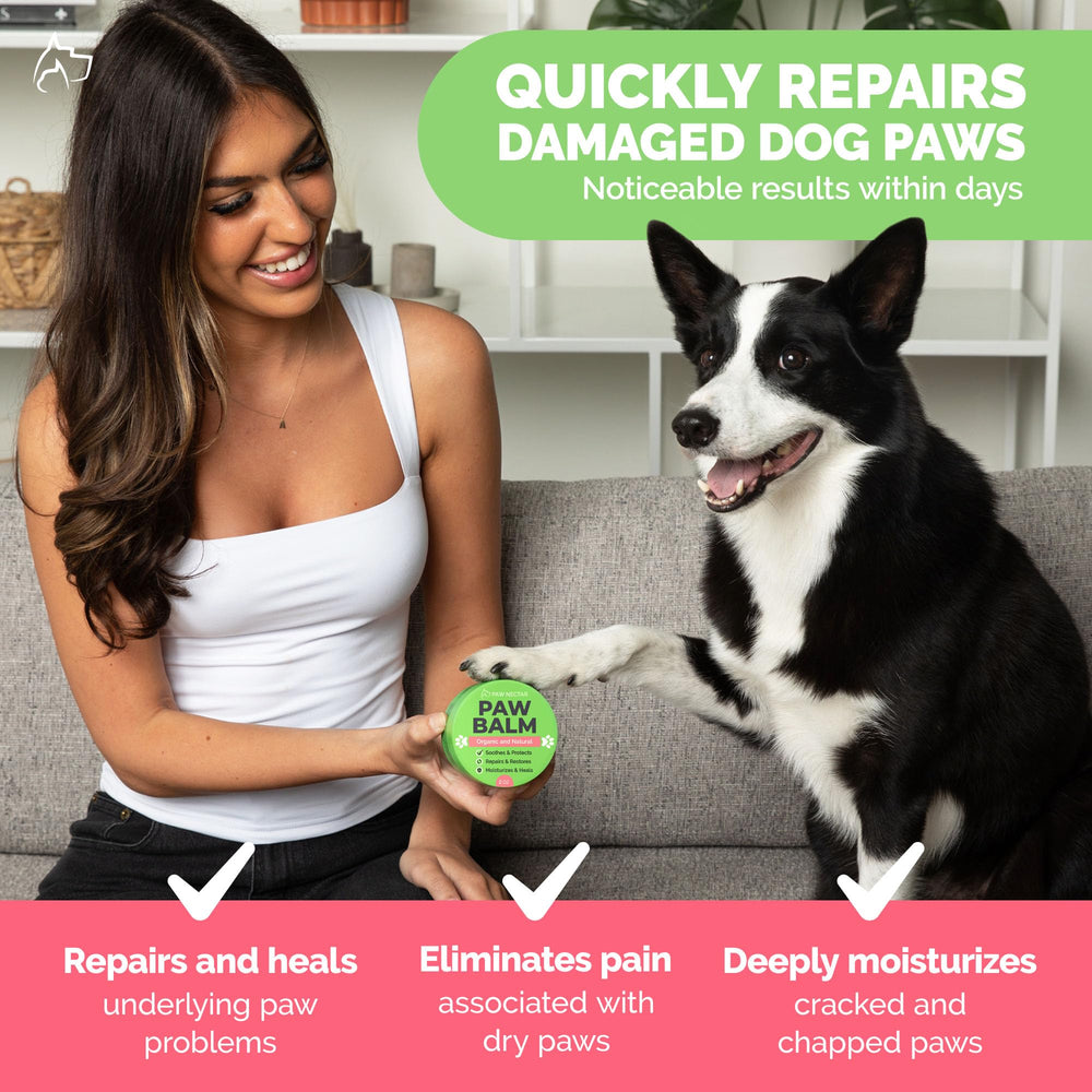Cuidado diario de patas con Paw Nectar, alivio gradual y protección constante