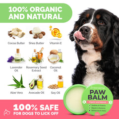Protección de patitas frente a frío y pavimento caliente con Paw Nectar