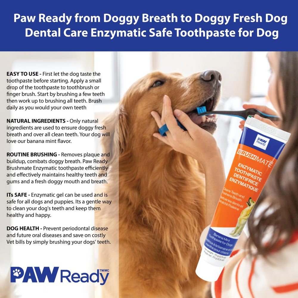 Paw Ready dog mouth after brushing looks fresher and cleaner