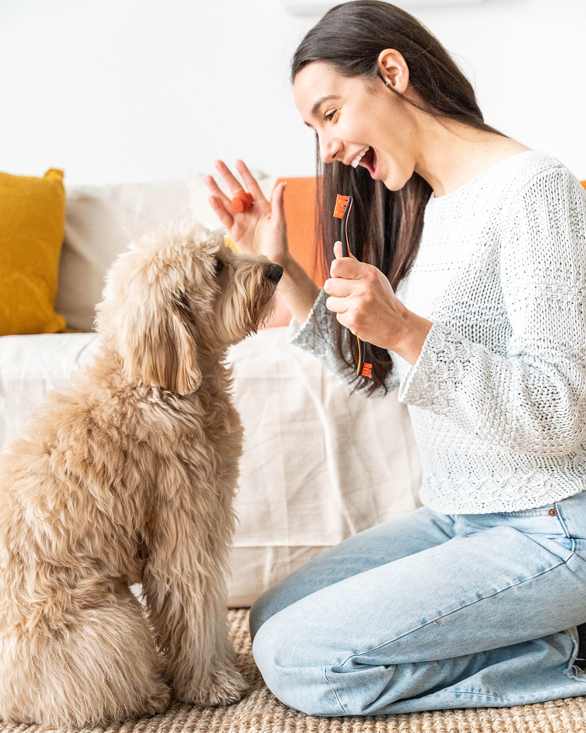 Paw Ready enzymatic gel for dog dental care supports gentle cleaning
