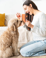Paw Ready enzymatic gel for dog dental care supports gentle cleaning