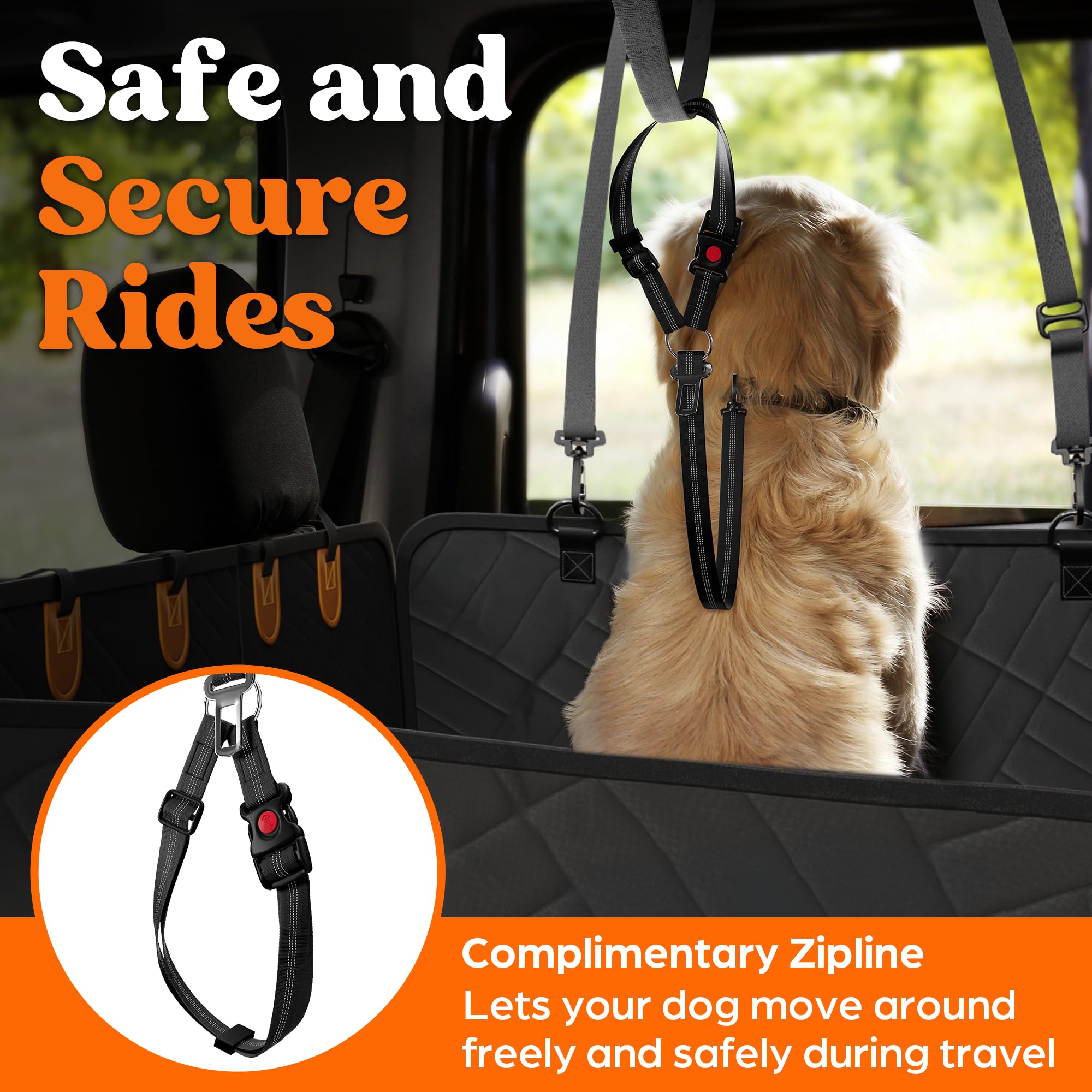 Paw Rider safety zipline and clips provide secure tethering.