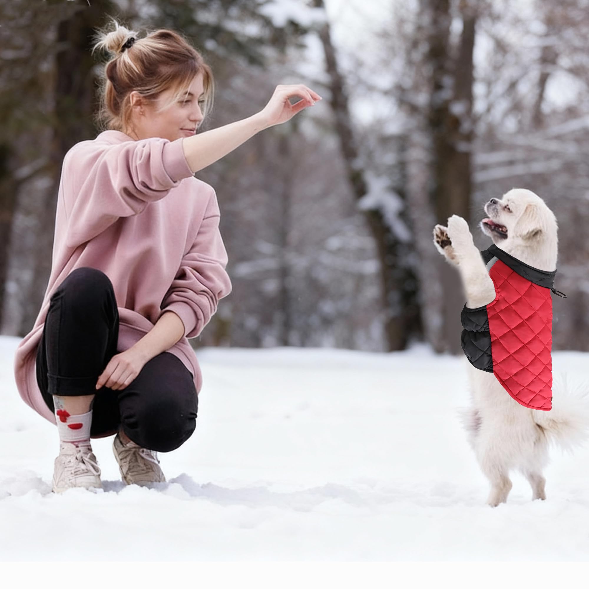 PawSailor coat adjustable closures for secure, comfortable fit