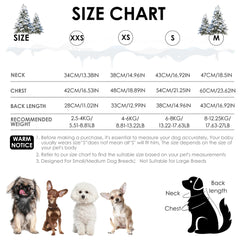 PawSailor coat with reflective strip enhances nighttime safety visibility