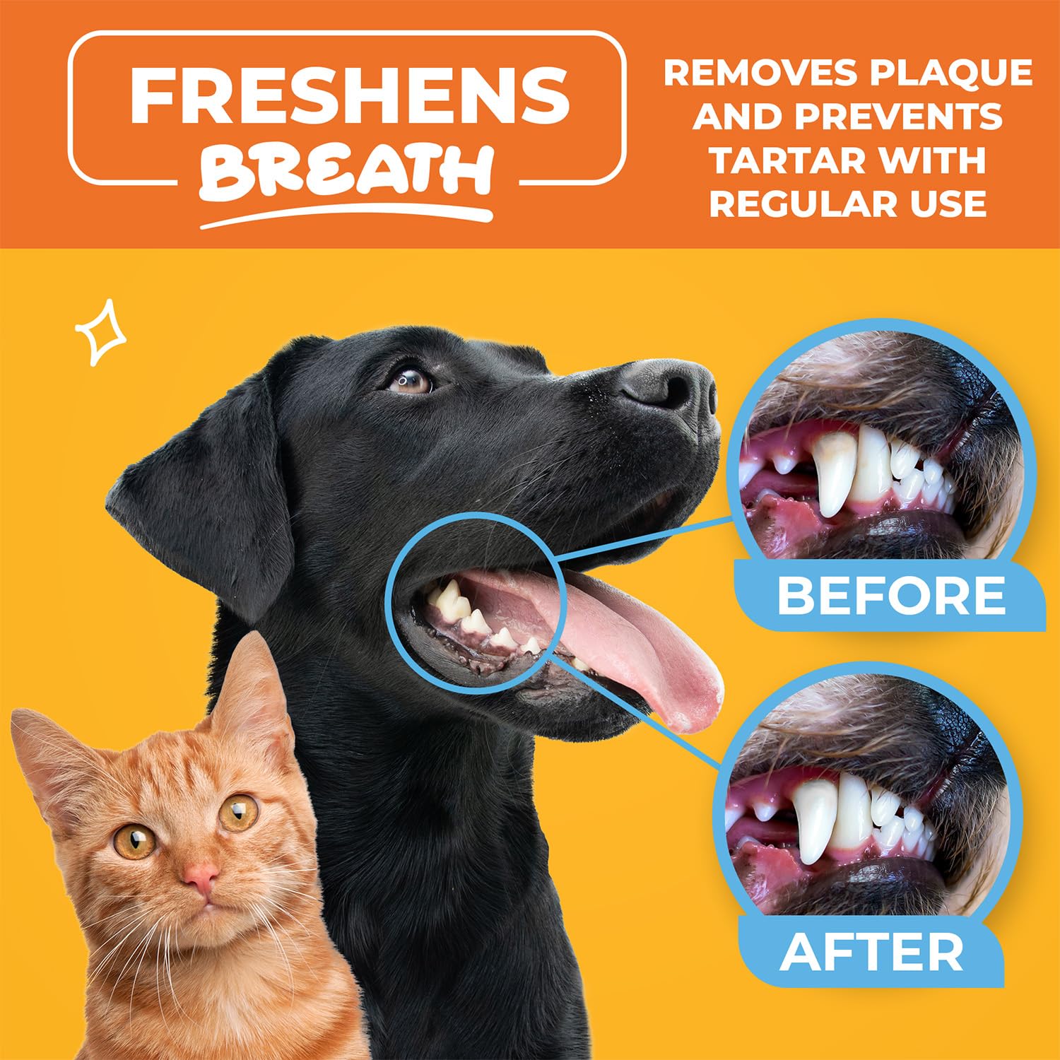 Paw Science wipes being used on a dog shows versatile dental care.