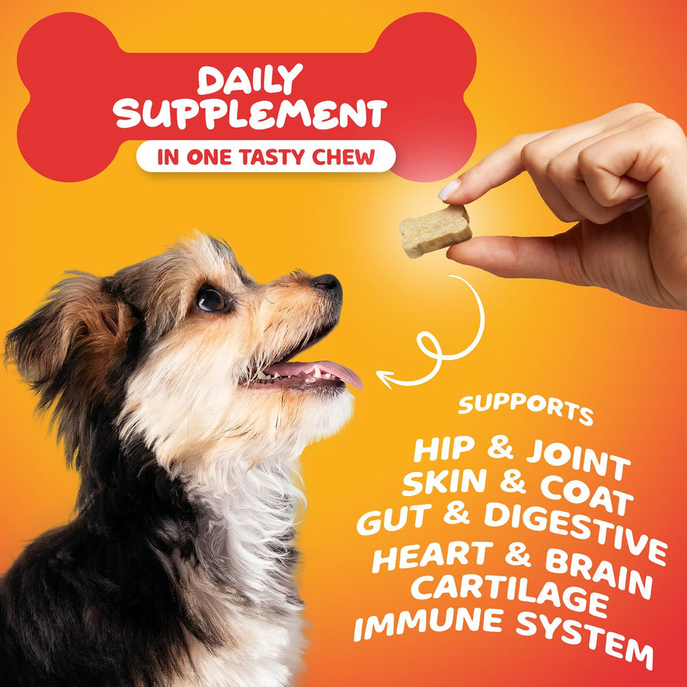 Paw Science dog enjoying a chew illustrates easy daily supplementation for busy owners.