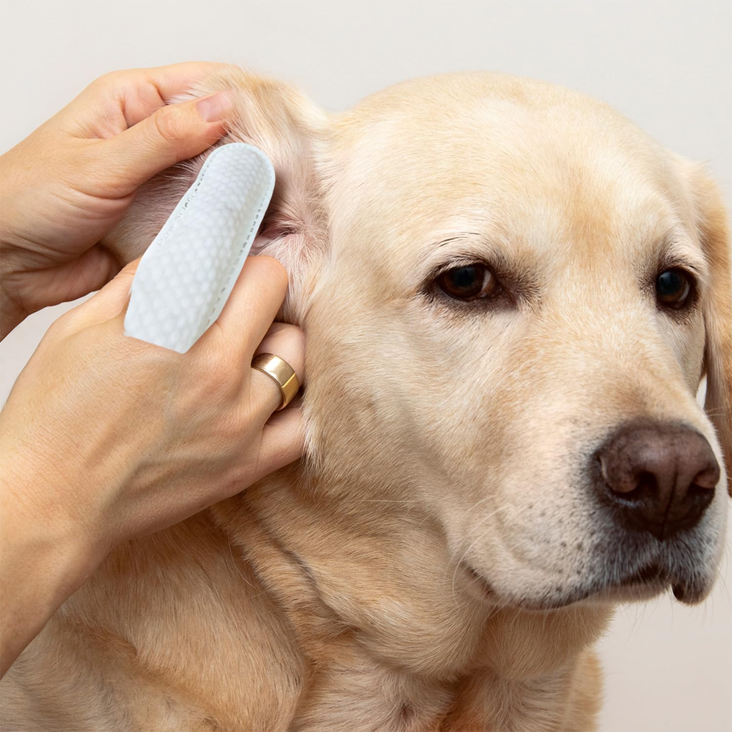 Paw Science ear care kit arrangement for complete pet care routine.