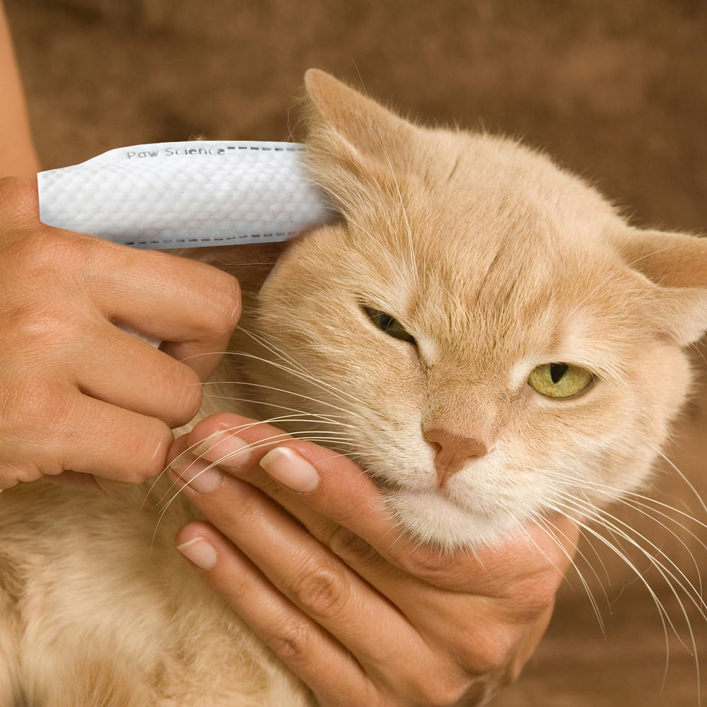 Paw Science coconut-scented ear wipes for soothing freshness