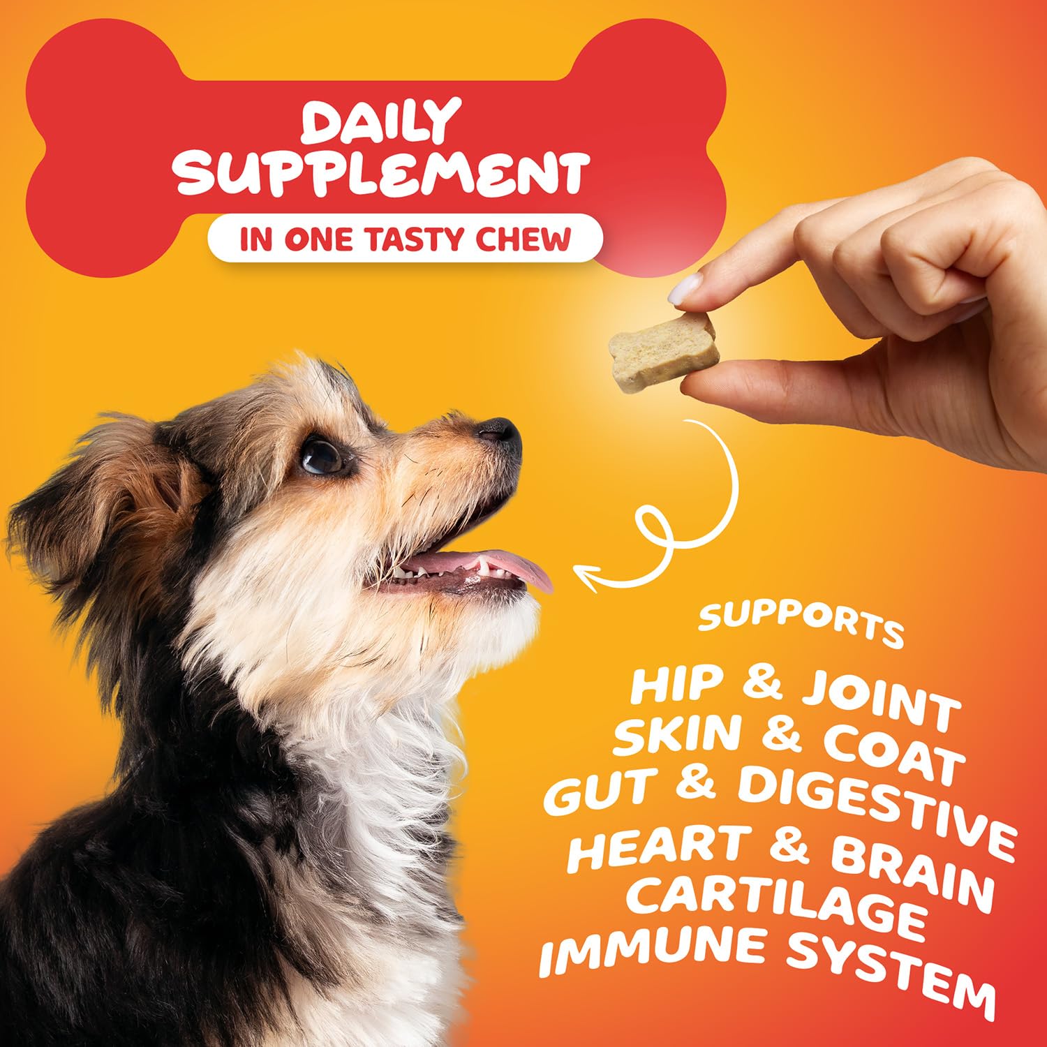Paw Science probiotics with wild Alaskan salmon oil highlighting gut health and coat shine