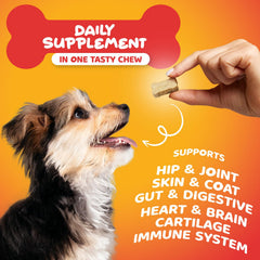 Paw Science probiotics with wild Alaskan salmon oil highlighting gut health and coat shine