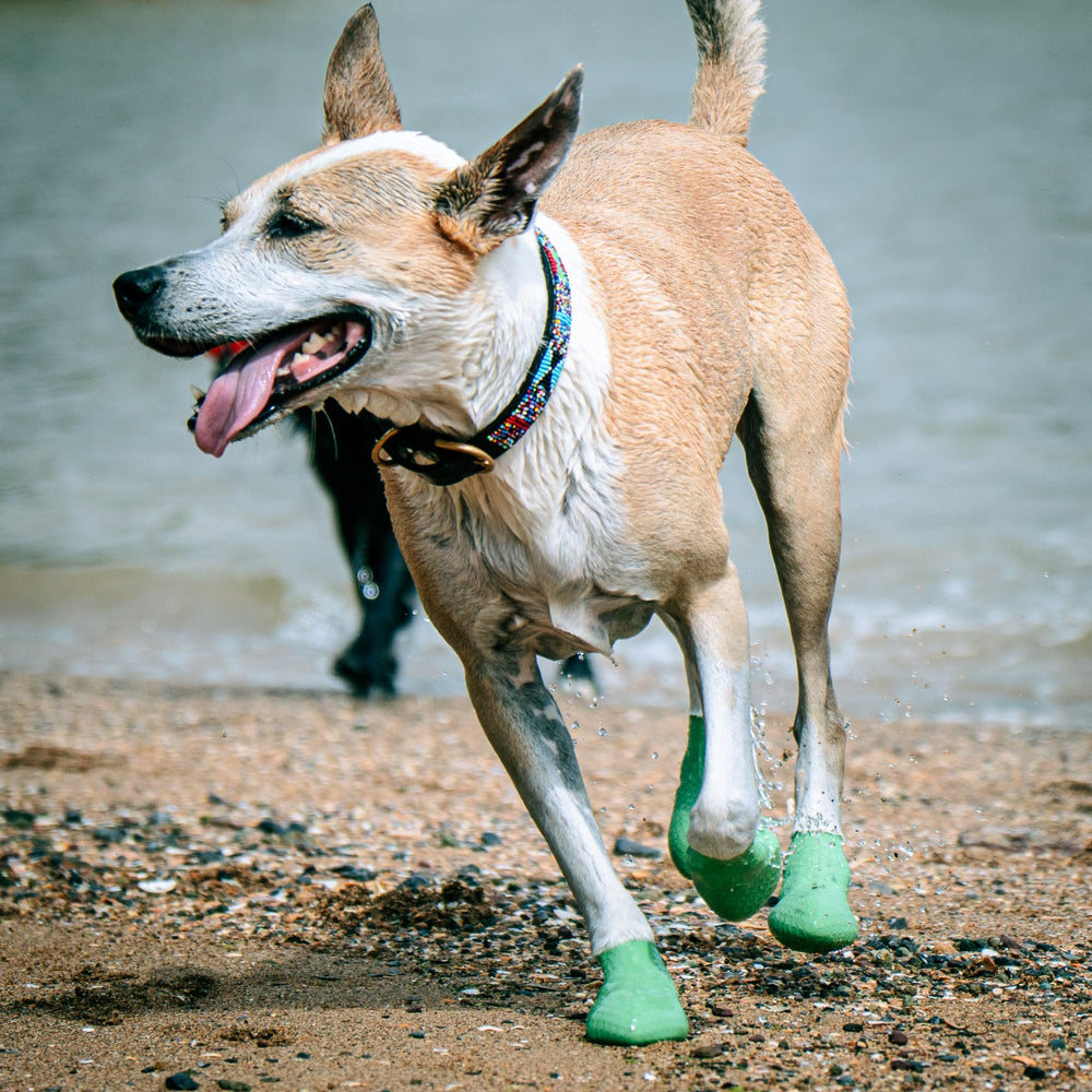 Paw—Skins 2.0 anti-slip sole provides reliable traction in wet or icy conditions
