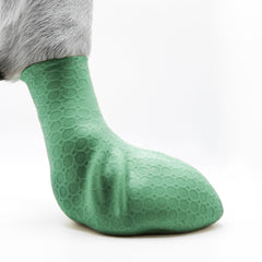 Paw—Skins 2.0 slip-on dog boots on a paw provide quick secure footing for outdoor adventures