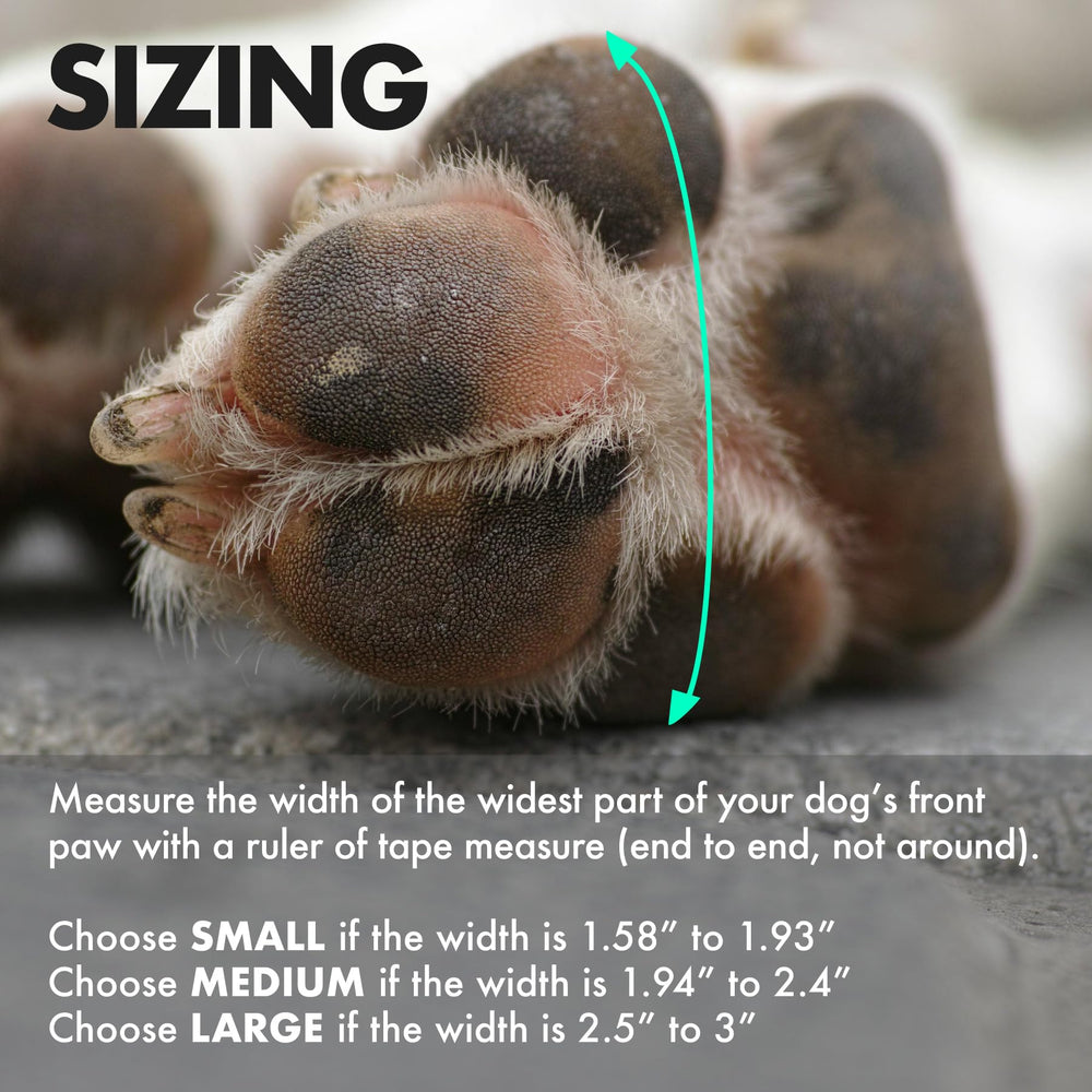 Paw—Skins 2.0 video guide shows easy step-by-step boot fitting