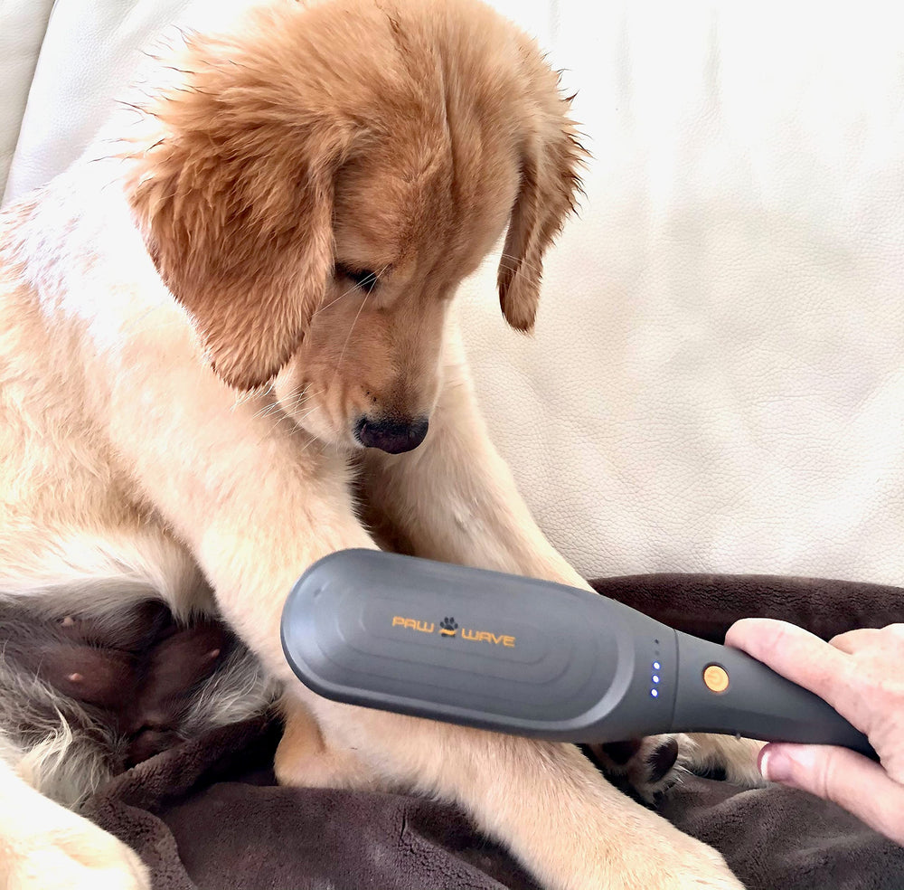 PAW WAVE Buzz therapeutic brush bristles closeup shows soft rubber contact for comfort