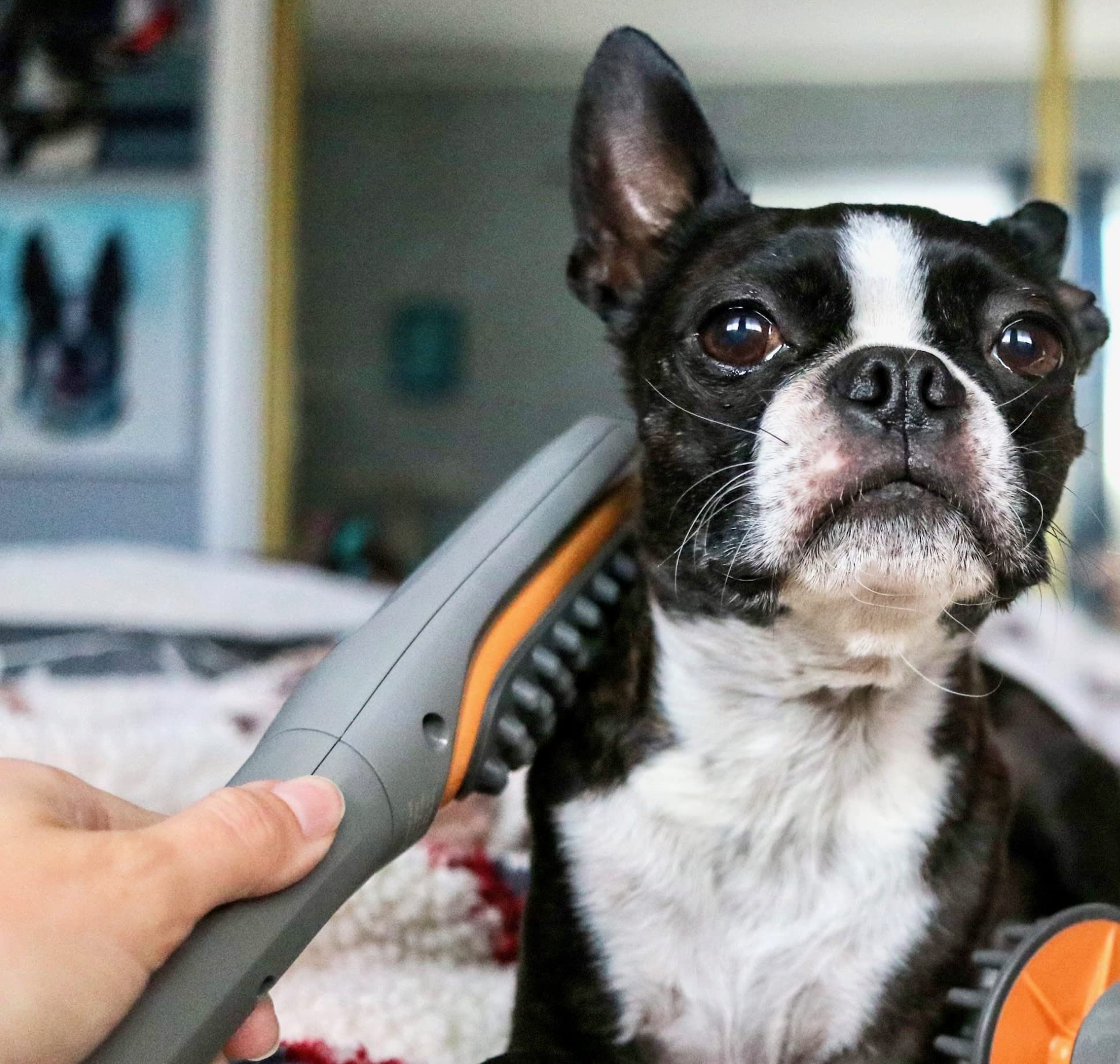 PAW WAVE Buzz brush in action suggests relaxation and reduced tension through vibration