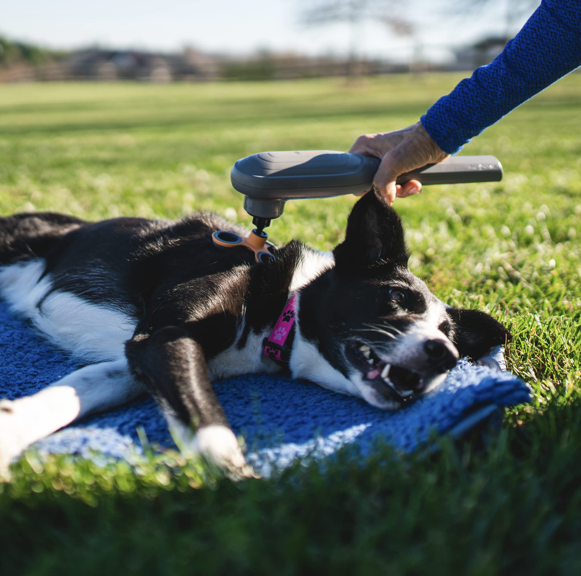PAW WAVE PERK massager controls and battery showcase simple on-demand relief