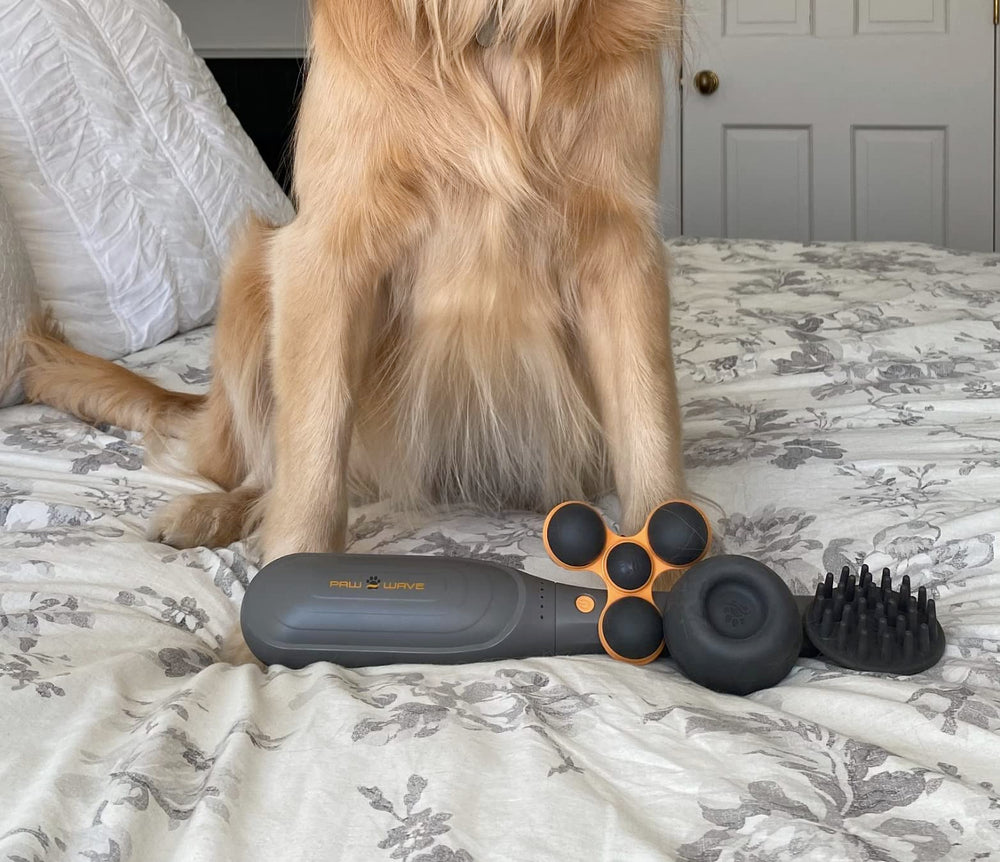 PAW WAVE PERK massager in action during gentle recovery routine