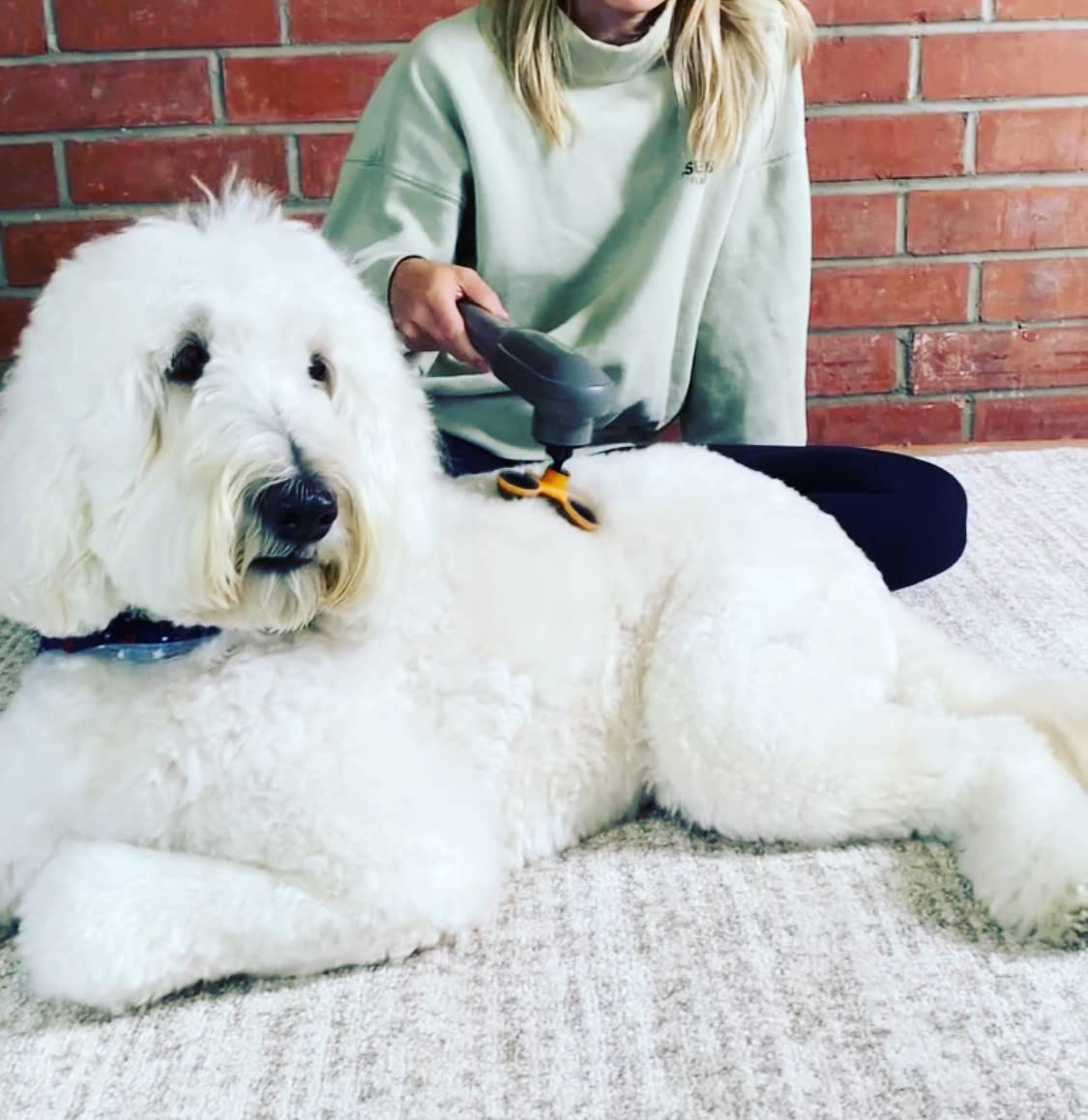 PAW WAVE PERK massager compact design fits into home routine