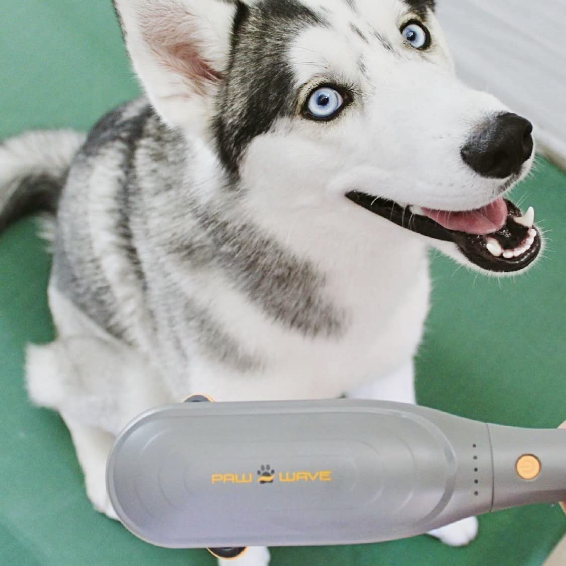 PAW WAVE PERK veterinarian-recommended device for pet muscle care and recovery