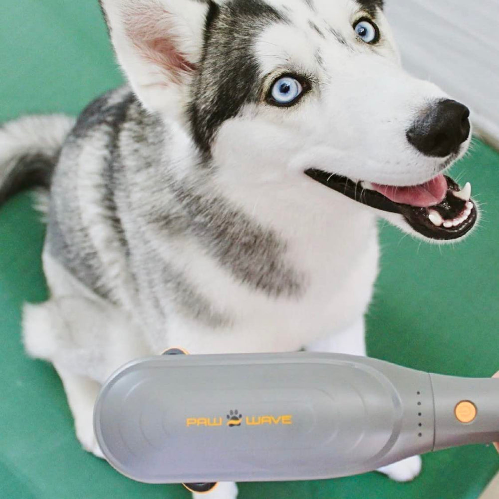 PAW WAVE PERK veterinarian-recommended device for pet muscle care and recovery