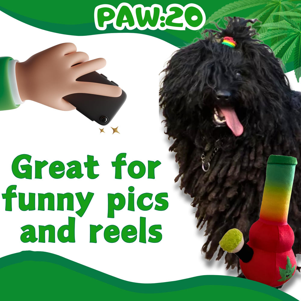 PAW:20 Bo da Bong 10 inch size suited for all breeds.