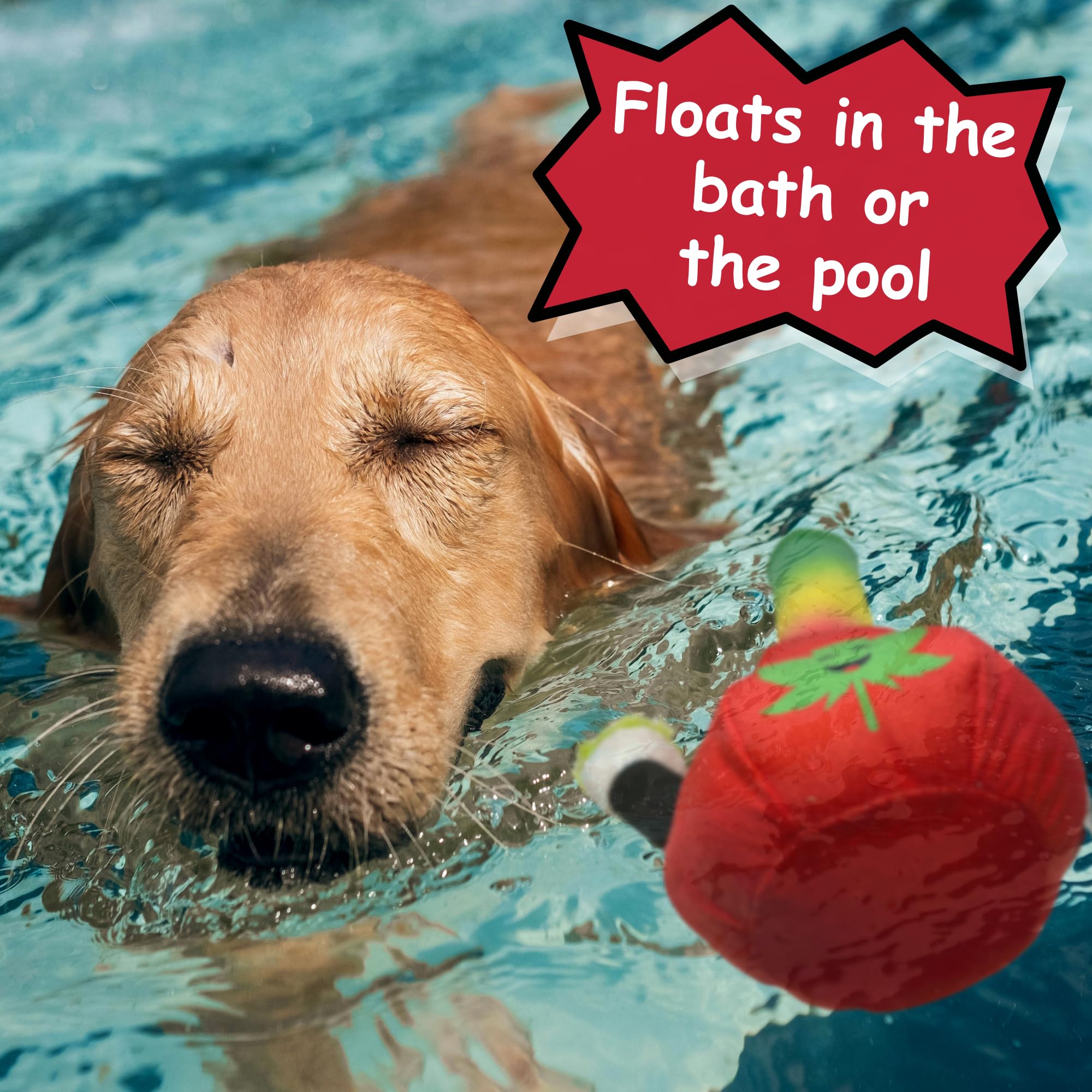 PAW:20 Bo da Bong rasta theme closeup highlighting unique humor.