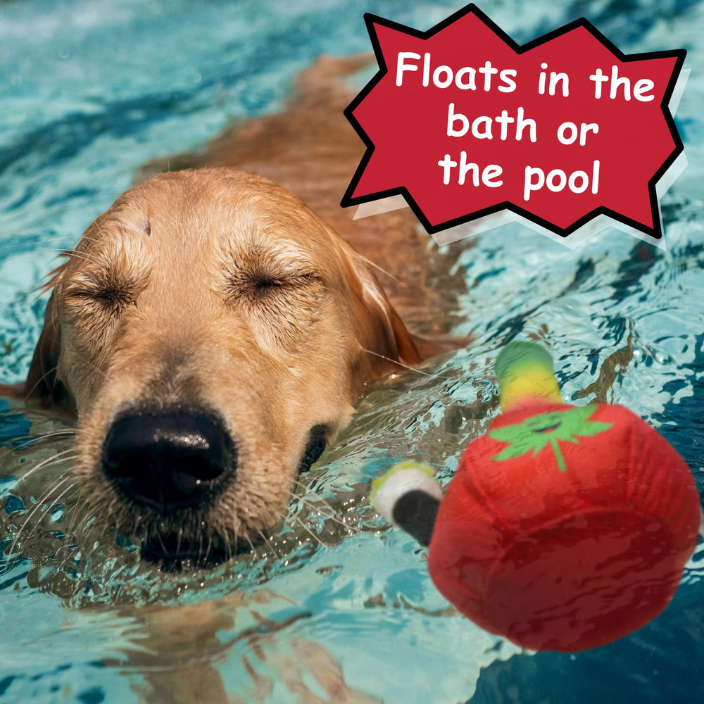 PAW:20 Bo da Bong rasta theme closeup highlighting unique humor.