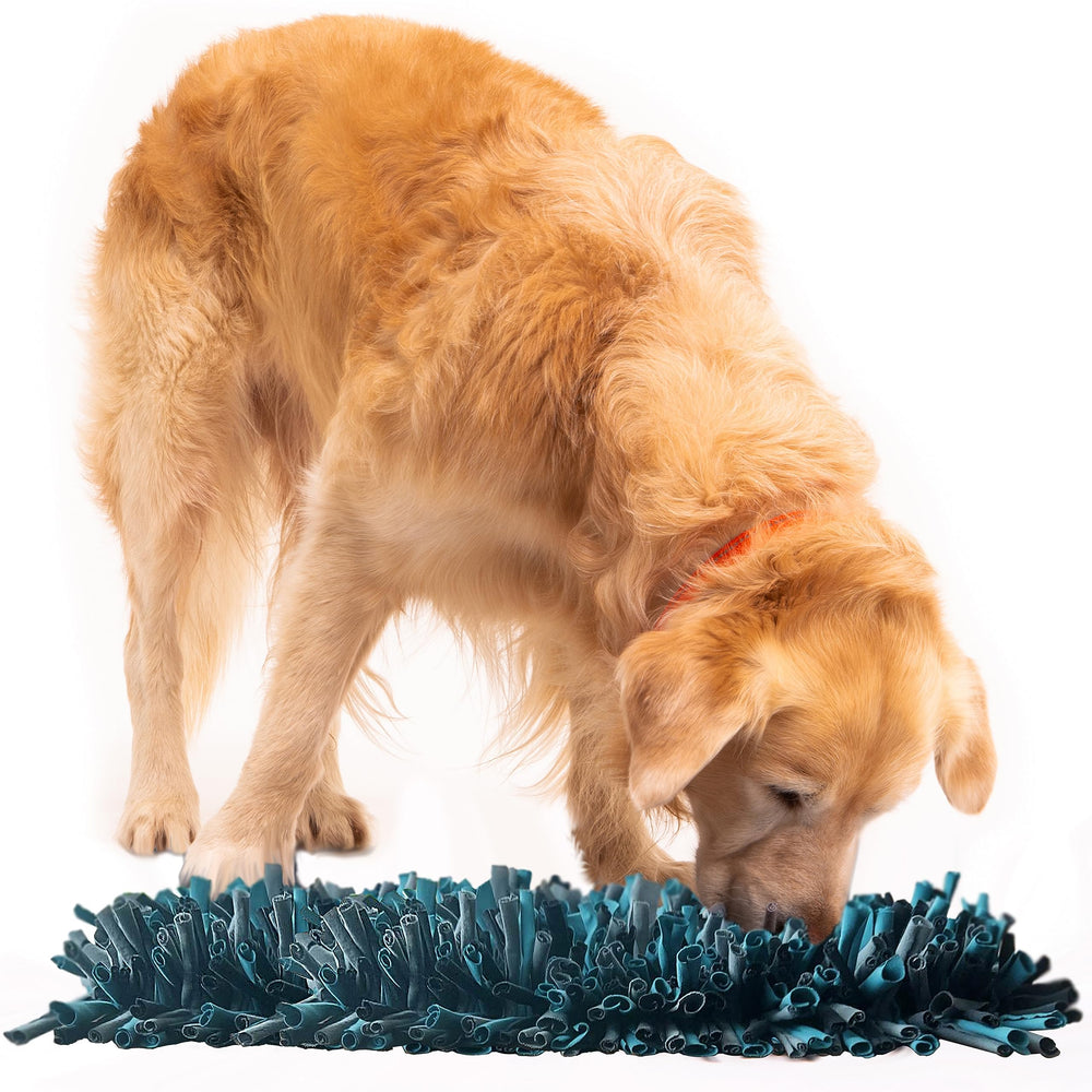 PAW5 Paw 5 Snuffle Mat 11x17 layout inviting sniffing and slow feeding