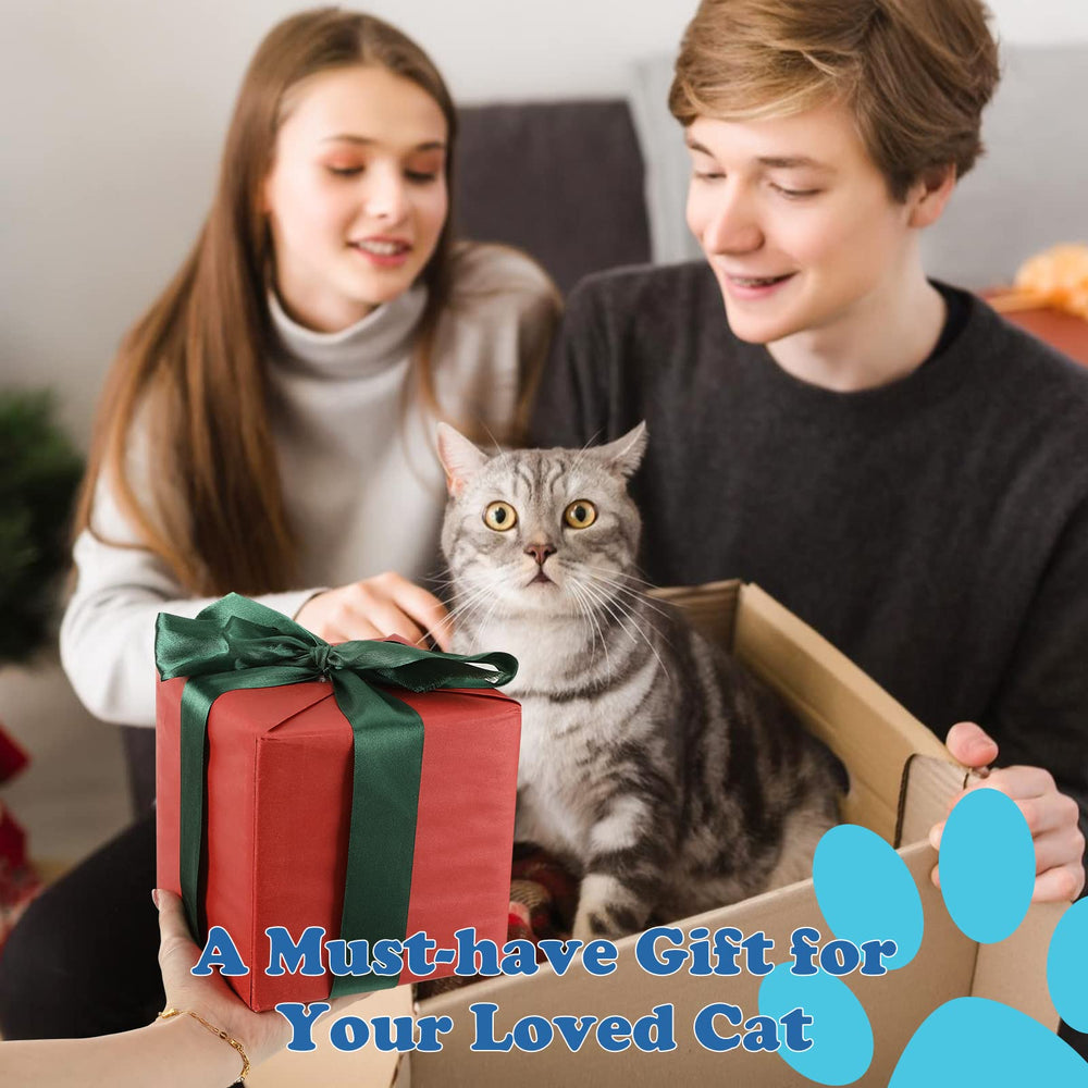 Pawaboo catnip toys gift-ready pack for cat lovers