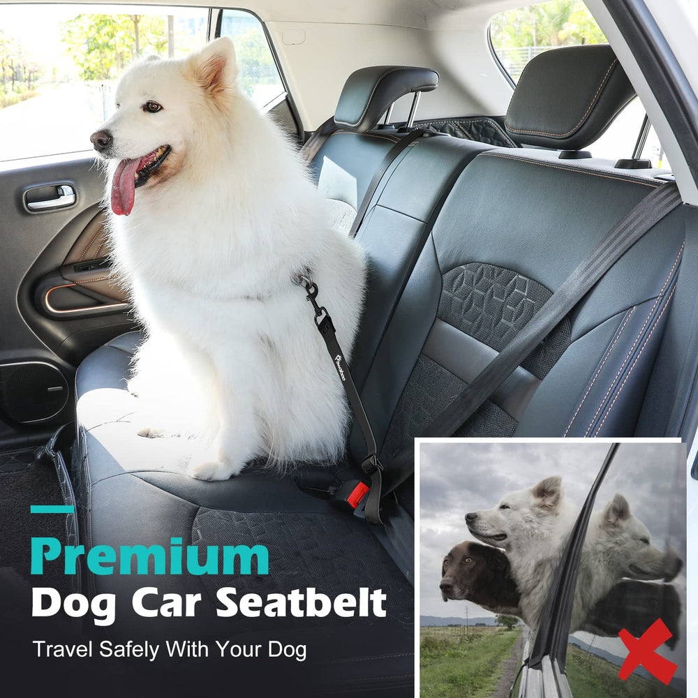 Pawaboo dog car seatbelt 360 swivel clip demonstrates tangle-free movement and comfort