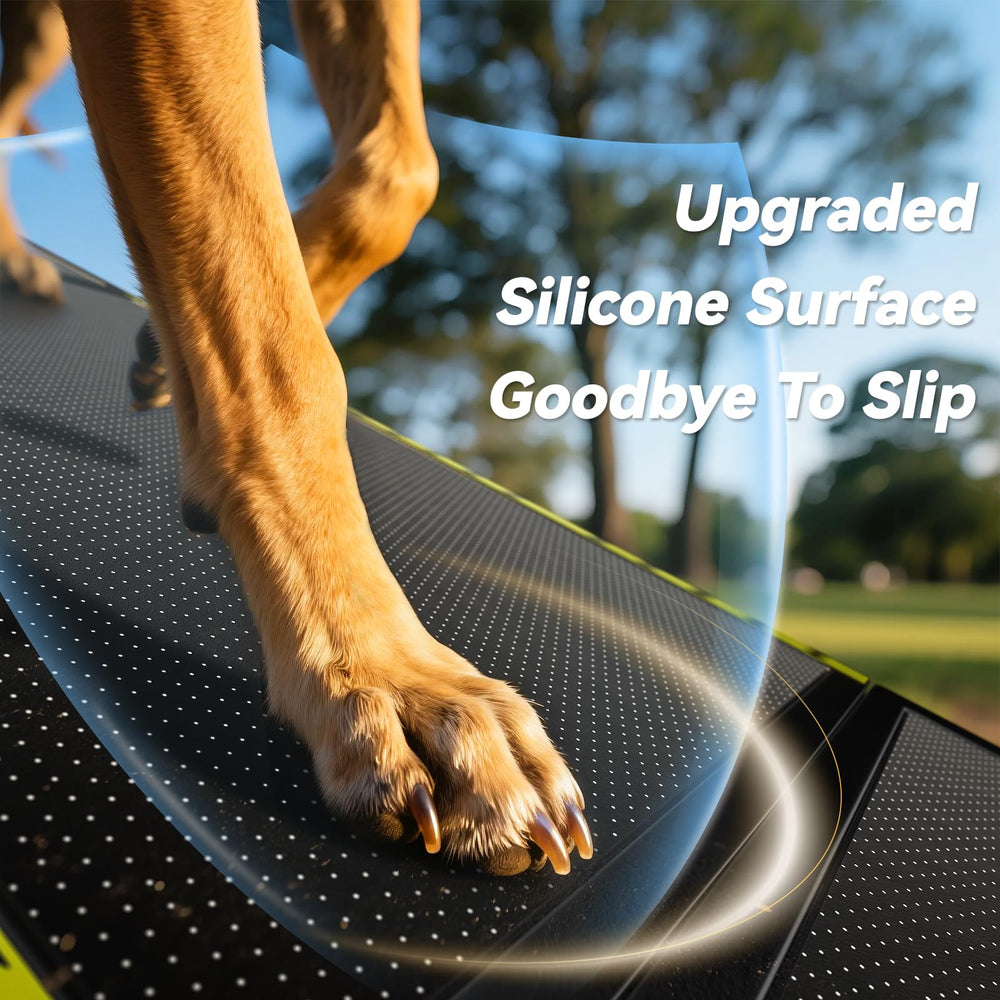 Pawaboo dog ramp with non-slip texture shows secure footing up and down.