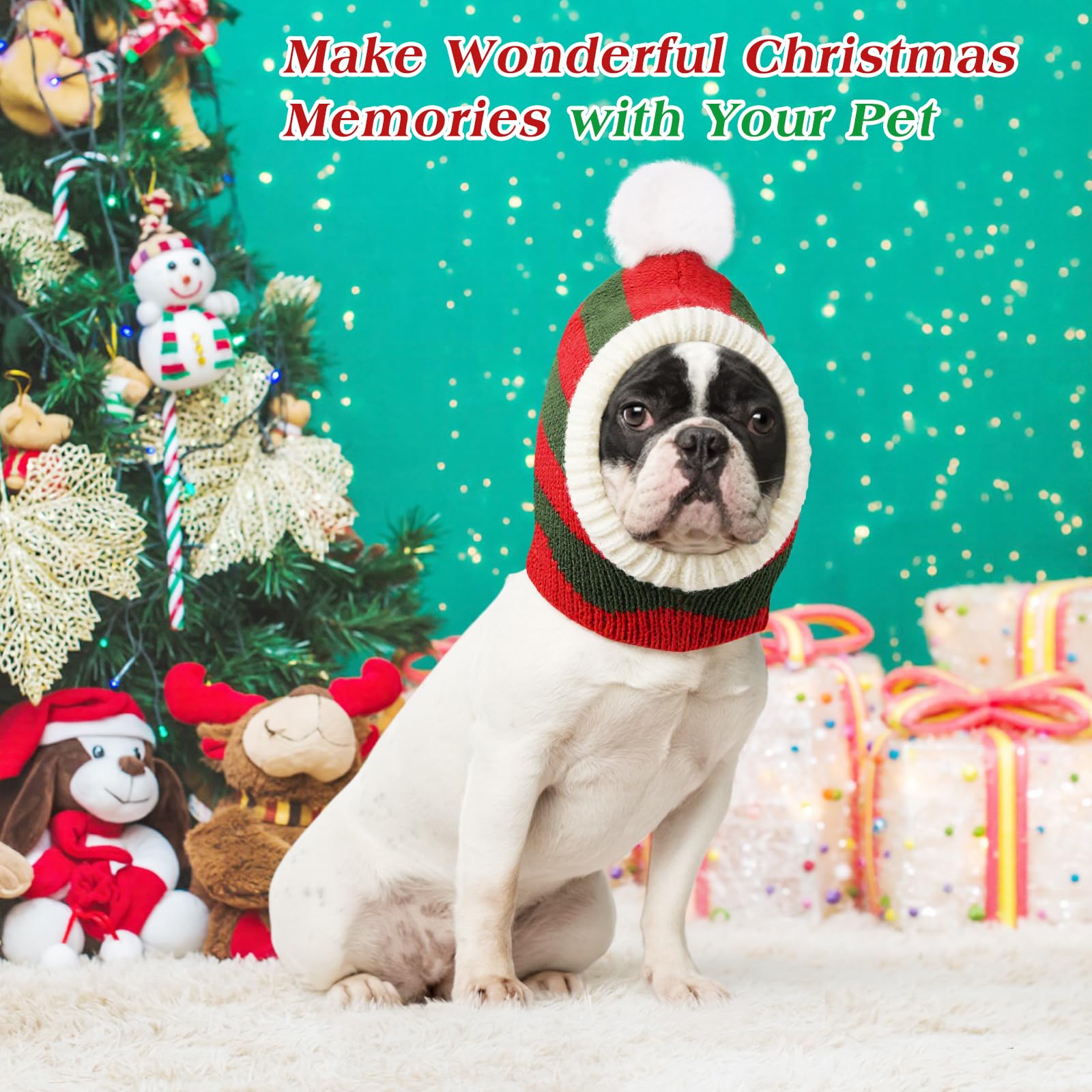 Pawaboo family Christmas photo pose with dog hat, captures festive memories.