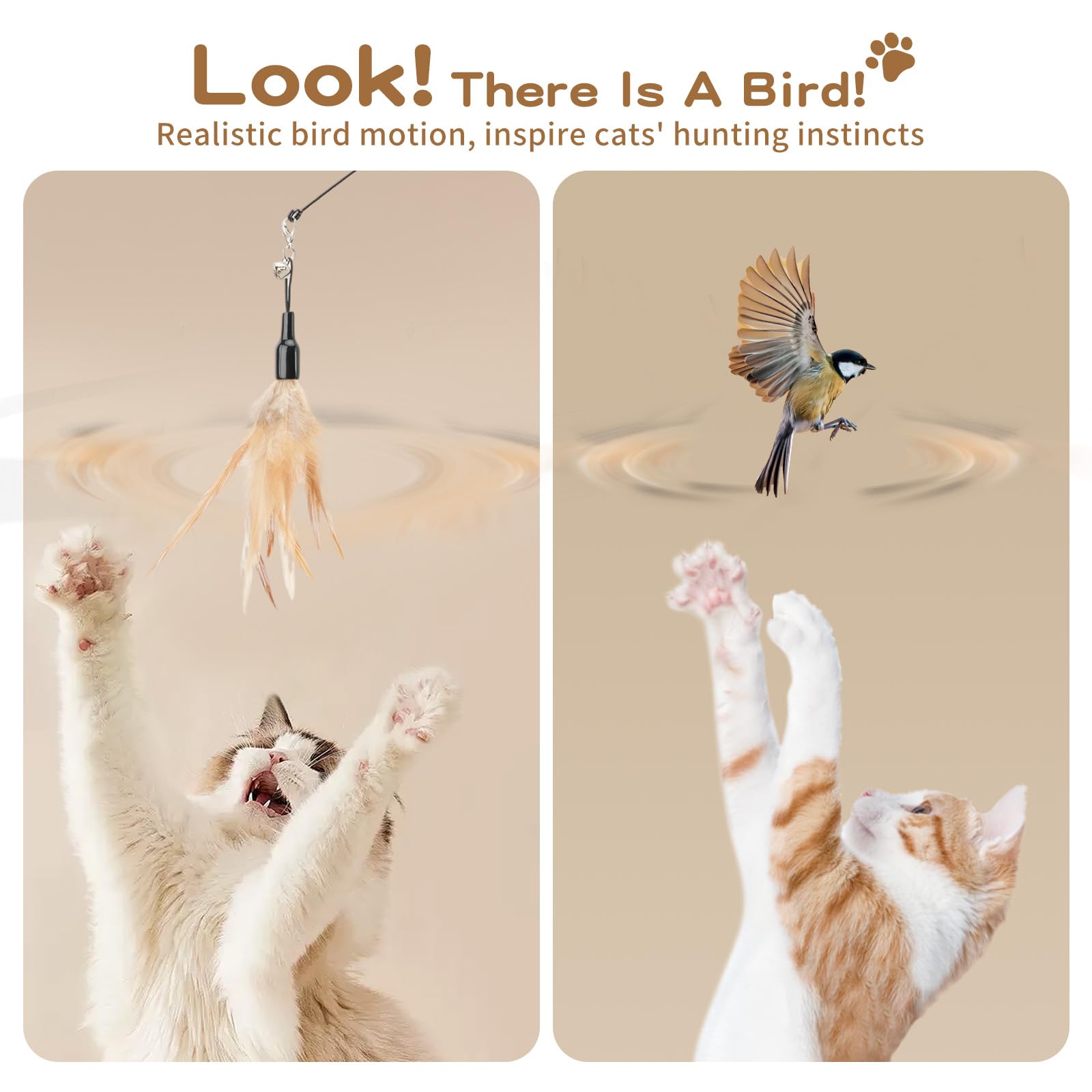 Pawaboo Feather Teaser cat playing action capturing dynamic movement and fun.