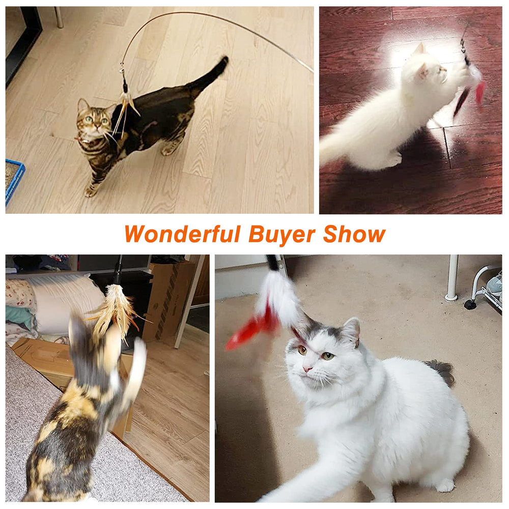 Pawaboo interactive toy encourages bonding and active play with your cat.