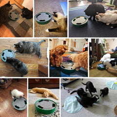 Pawaboo interactive cat toy running mouse side action demonstrates pursuit and exercise.