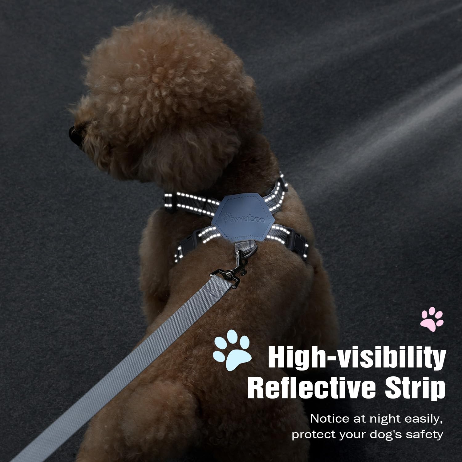 Pawaboo outdoor walking setup with harness and leash