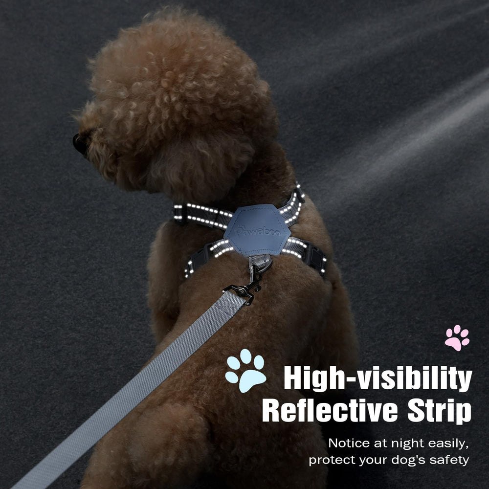 Pawaboo outdoor walking setup with harness and leash