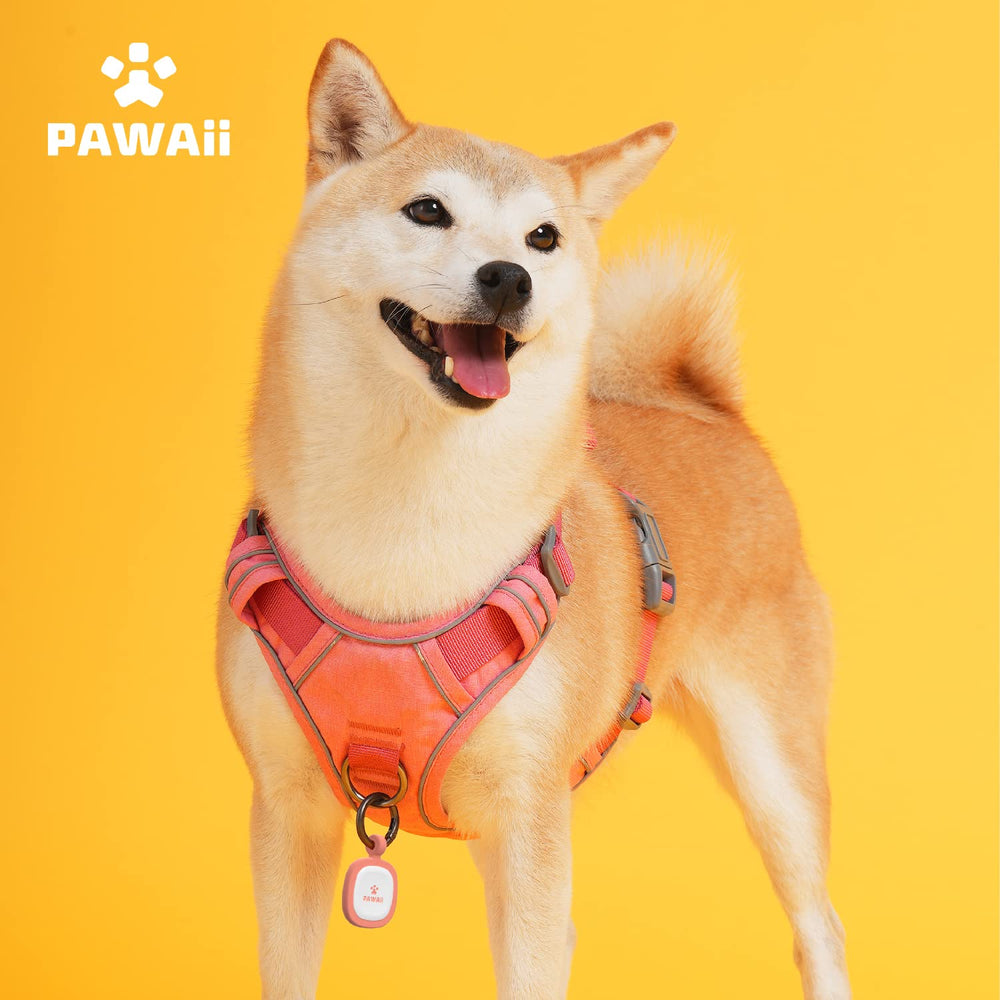 Pawaii dog harness adjustable fit suitable for small dogs.