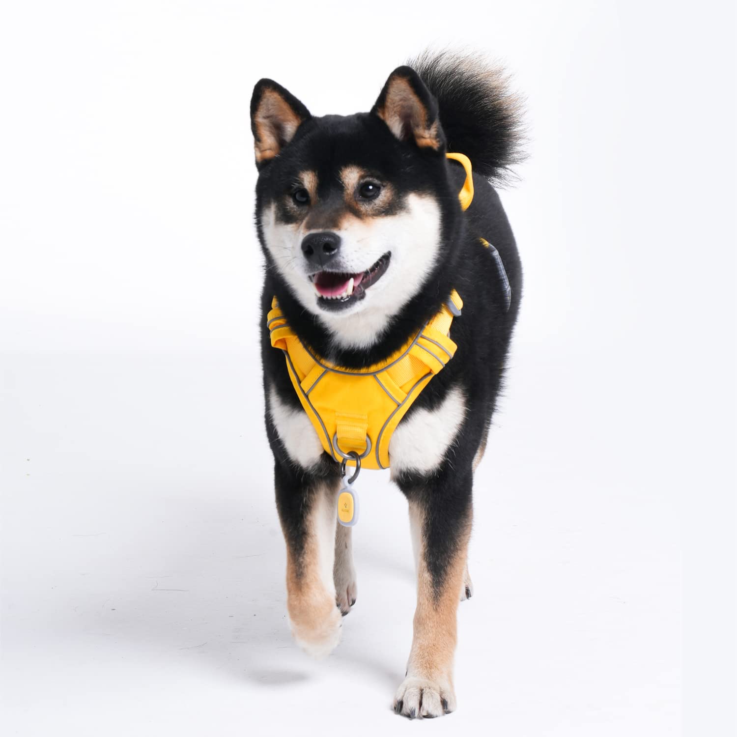 Pawaii dog harness breathable padding keeps dogs comfortable on hikes
