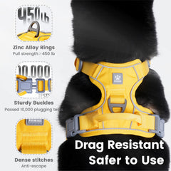 Pawaii dog harness with reflective strips enhances safety during evening walks