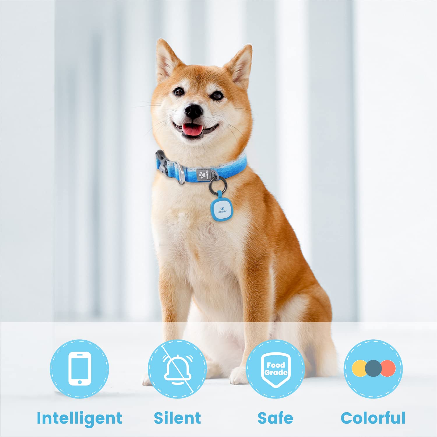 Pawaii dog ID tag on collar sky blue demonstrates secure daily wear